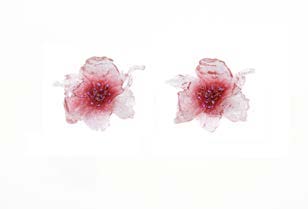 Stainless Steel Stud fine jewelry piece